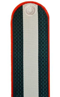 ՆԳՆ ոստիկանության ավագ