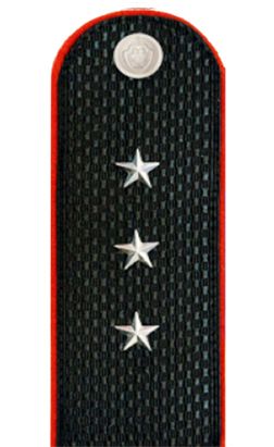 ՆԳՆ ոստիկանության ավագ ենթասպա