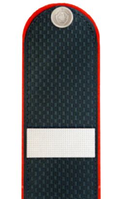 ՆԳՆ ոստիկանության ավագ սերժանտ